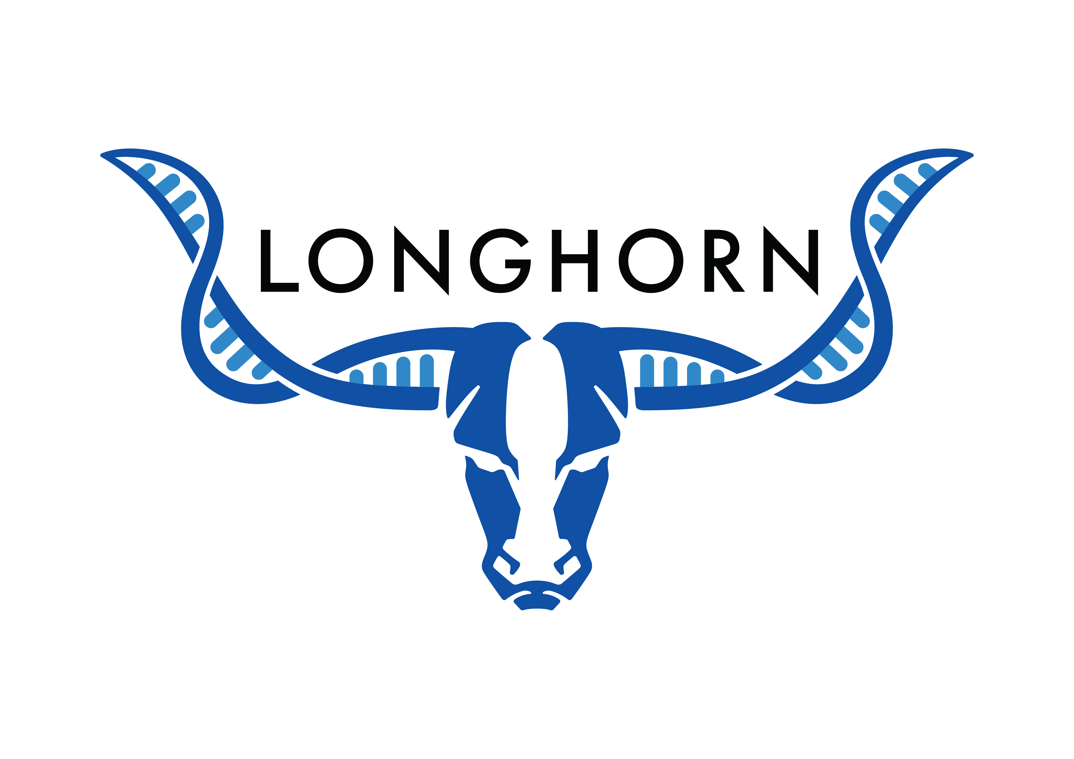 Longhorn Wall Mount